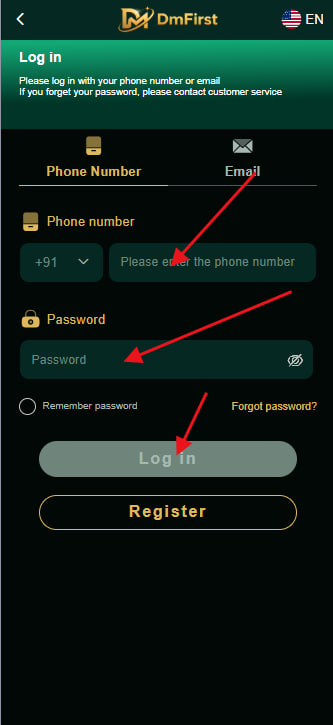 Dmfirst Login Interface screenshot guide